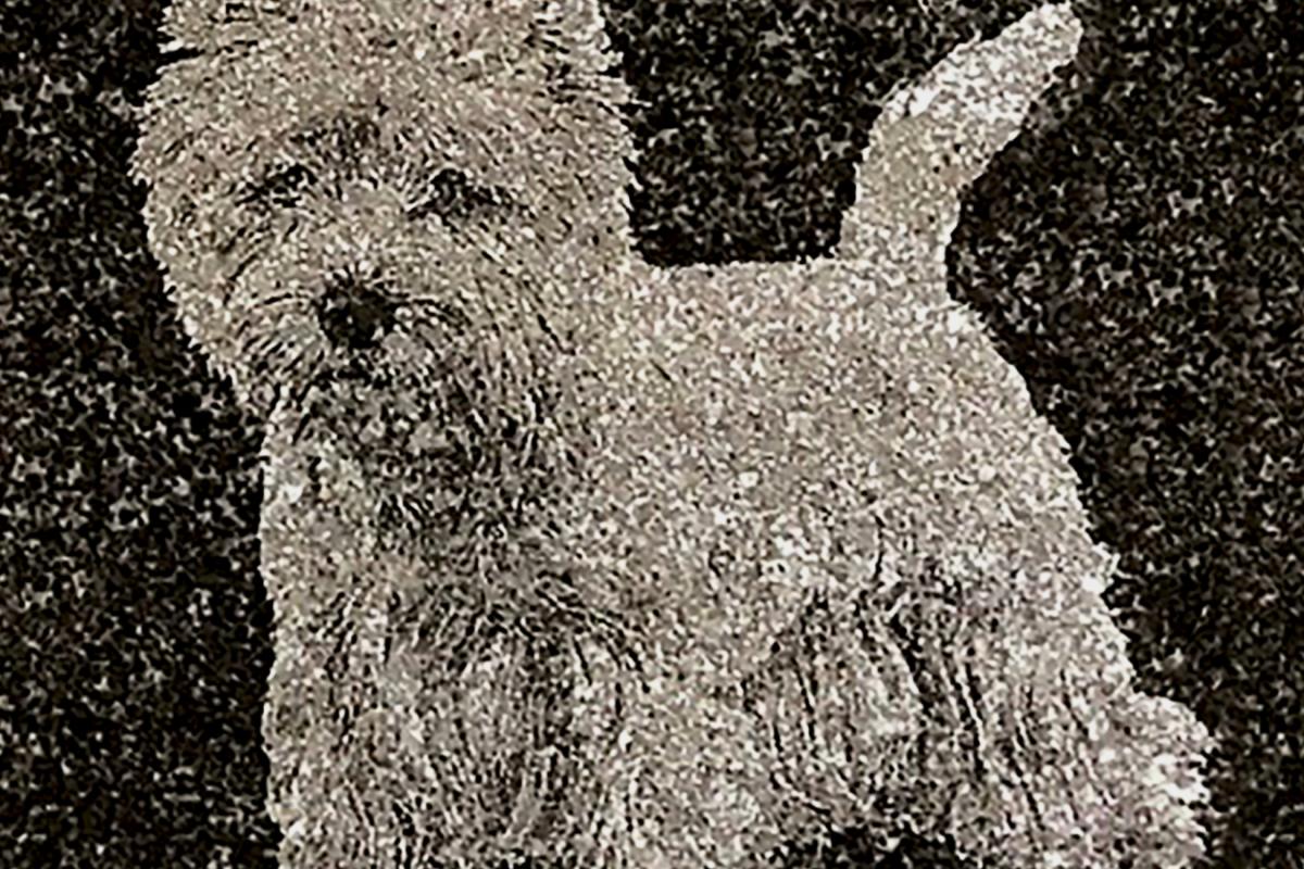 Diamond Etched Granite Icon