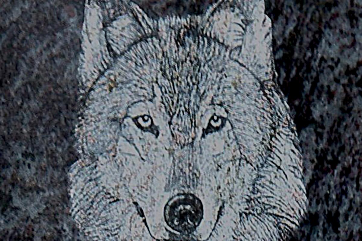 Diamond Etched Granite Icon