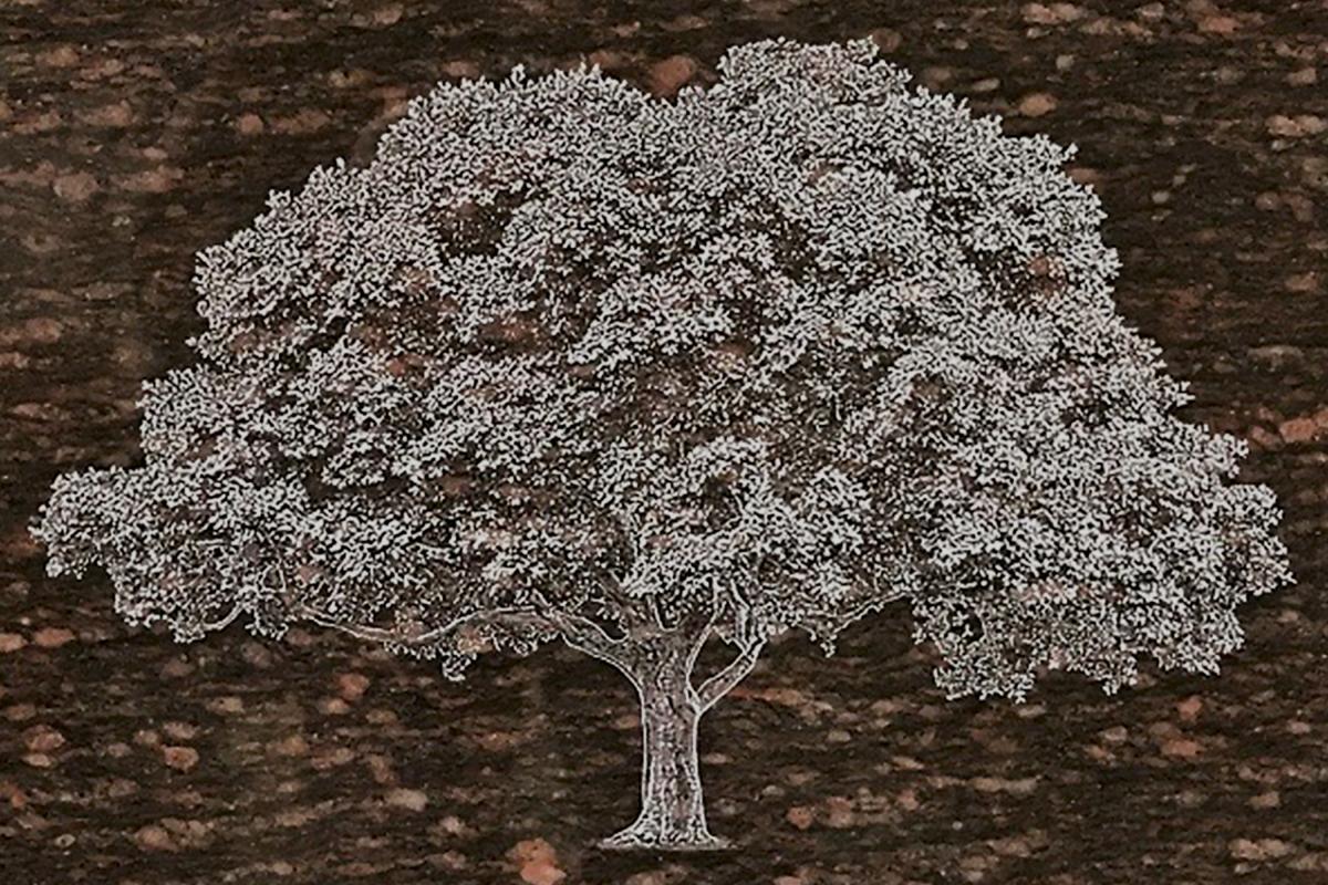 Diamond Etched Granite Icon