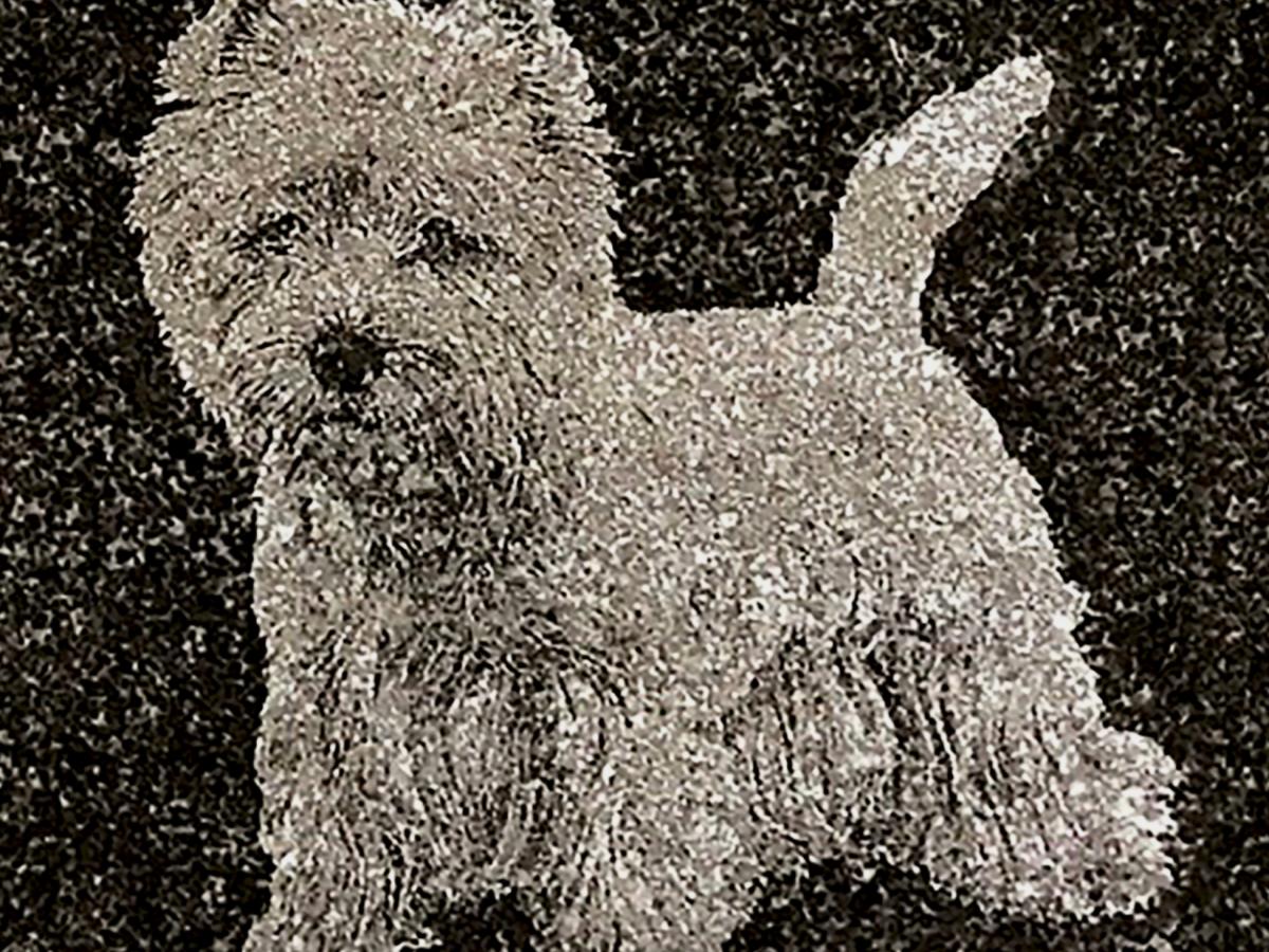 Diamond Etched Granite Icon