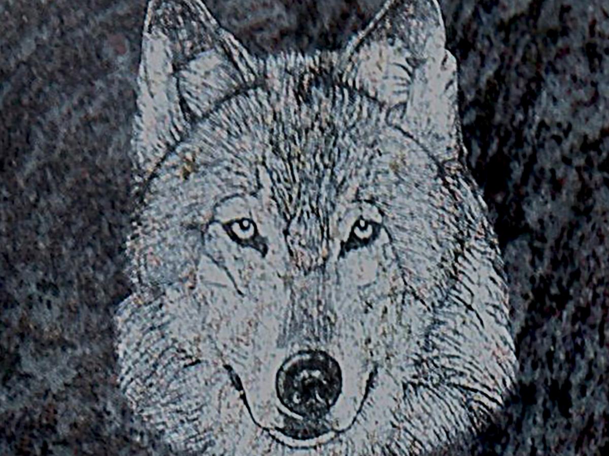 Diamond Etched Granite Icon