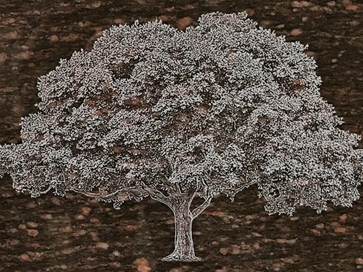 Diamond Etched Granite Icon