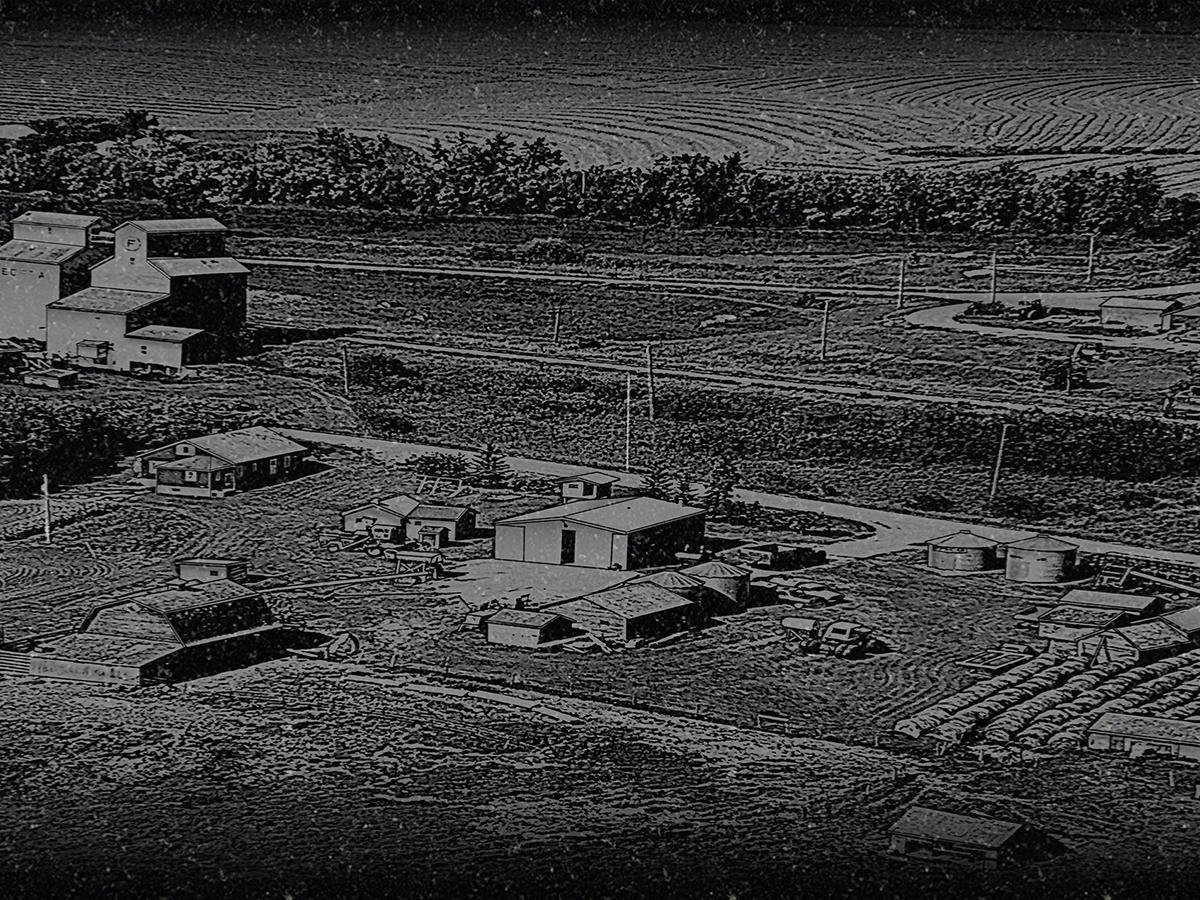 Diamond Etched Landscape