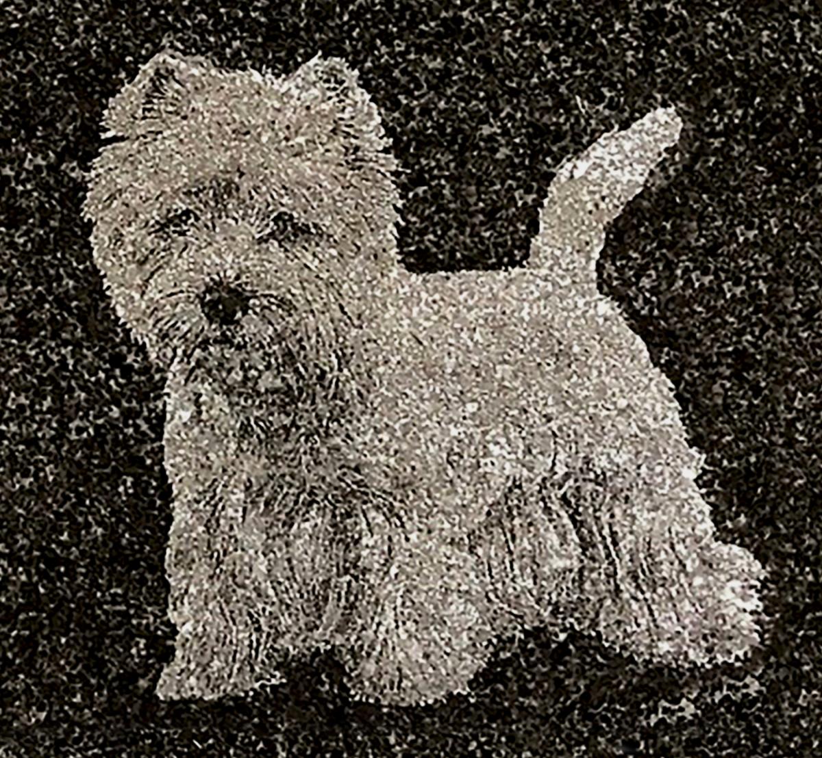 Diamond Etched Granite Icon